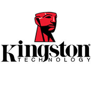 Logo kingston